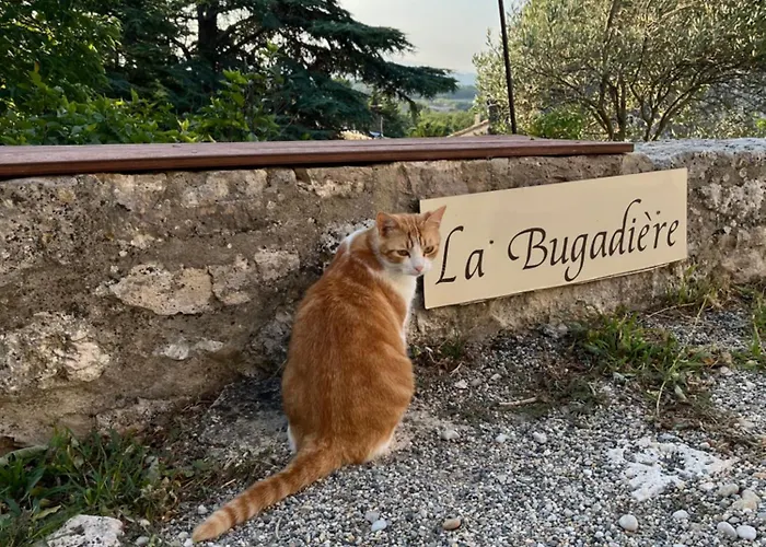 La Bugadiere
