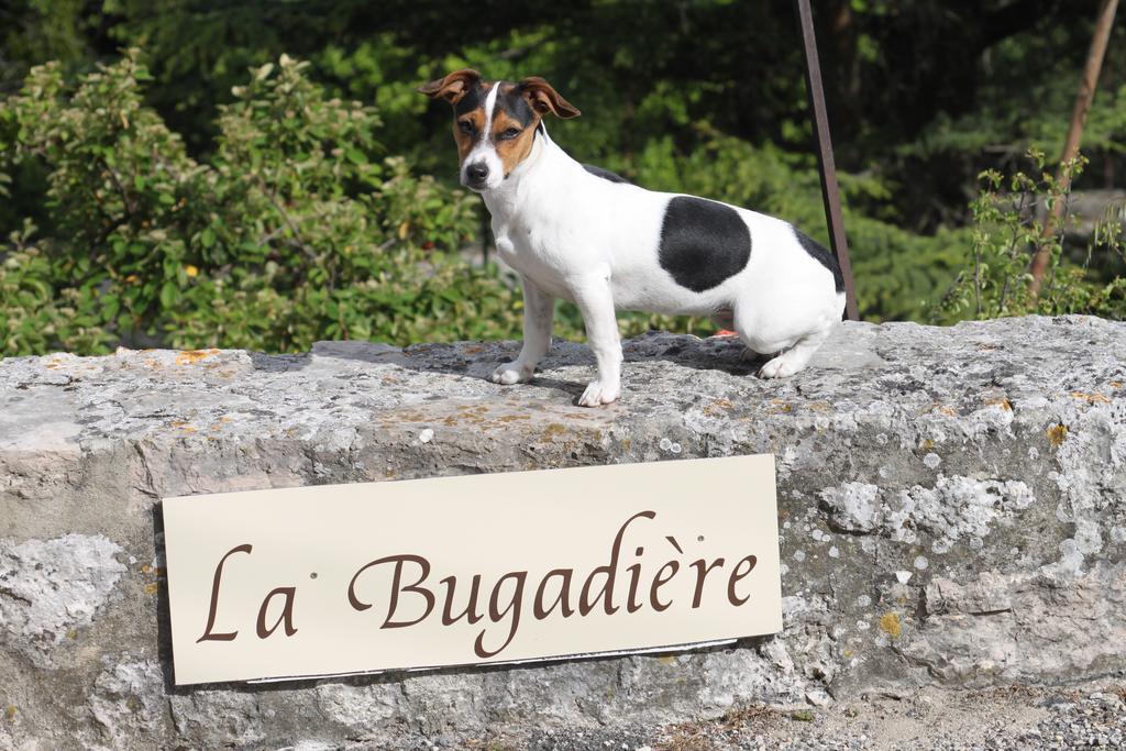 Guest house La Bugadiere *