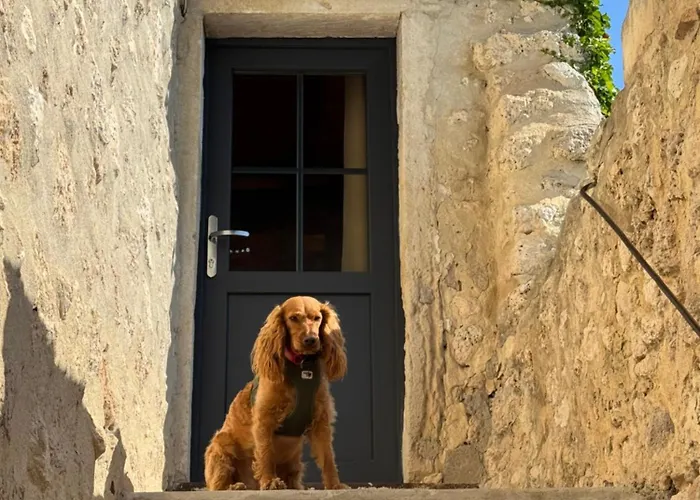 La Bugadiere